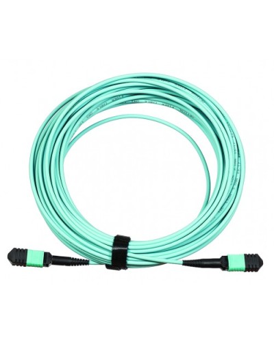 Сборка кабельная LANMASTER (LAN-12M-12M/OM3B-10) в Чебоксарах Коннекторы Pintop.ru