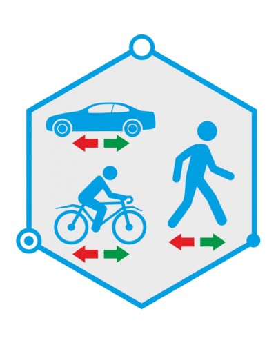 ПО детектор движения в запрещенном направлении TRASSIR Direction Detector в Чебоксарах Системы видеонаблюдения Pintop.ru