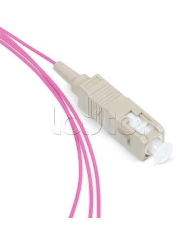 Пигтейл SC 50/125 mm (OM4) 1.5м LSZH Cabeus PT-SC-50-OM4 в Чебоксарах Пигтейлы Pintop.ru