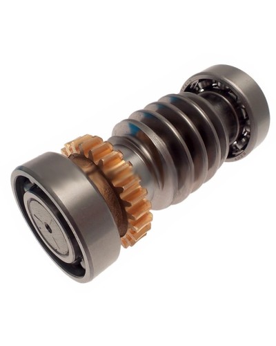 Червяк FROG Came 119RIA016 в Чебоксарах Запчасти для шлагбаумов и автоматики Pintop.ru