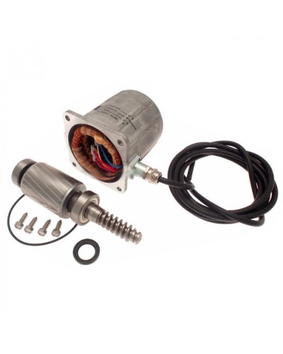 Электродвигатель FROG-A в сборе Came 119RIA061 в Чебоксарах Запчасти для шлагбаумов и автоматики Pintop.ru