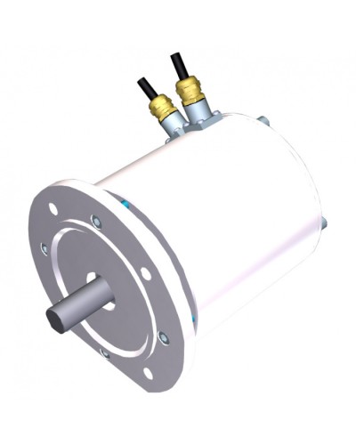 Электродвигатель FROG-MS Came 119RIA081 в Чебоксарах Запчасти для шлагбаумов и автоматики Pintop.ru