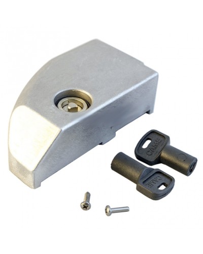 Дверца замка разблокировки BK Came 119RIBK012 в Чебоксарах Запчасти для шлагбаумов и автоматики Pintop.ru