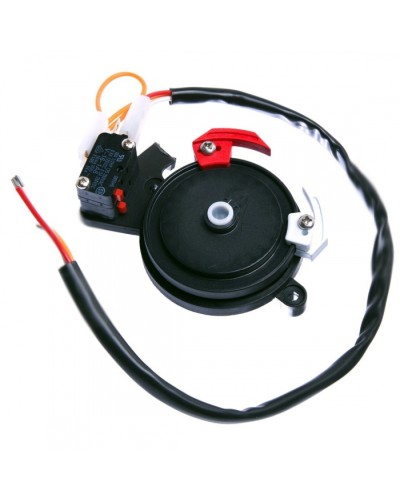 Концевые микровыключатели в сборе BX-243 Came 119RIBX041 в Чебоксарах Запчасти для шлагбаумов и автоматики Pintop.ru