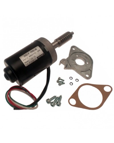 Электродвигатель BX-243 в сборе Came 119RIBX046 в Чебоксарах Запчасти для шлагбаумов и автоматики Pintop.ru