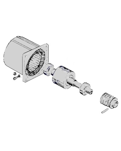 Электродвигатель С-100 Came 119RIC052 в Чебоксарах Запчасти для шлагбаумов и автоматики Pintop.ru