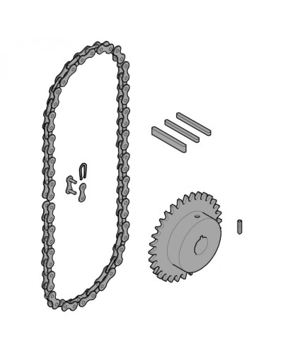 Передающая система (цепь и звездочки) C005 Came 119RICX016 в Чебоксарах Запчасти для шлагбаумов и автоматики Pintop.ru