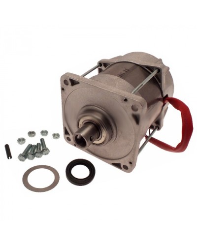 Электродвигатель FERNI Came 119RID087 в Чебоксарах Запчасти для шлагбаумов и автоматики Pintop.ru