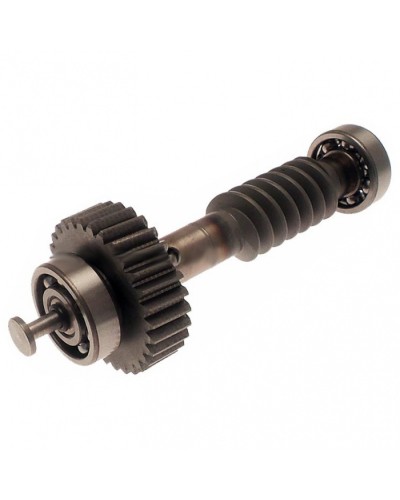 Червяк редуктора FAST в сборе Came 119RID228 в Чебоксарах Запчасти для шлагбаумов и автоматики Pintop.ru