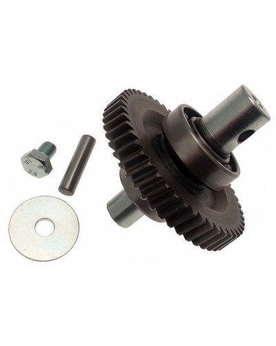 Шестерня редуктора FAST в сборе Came 119RID229 в Чебоксарах Запчасти для шлагбаумов и автоматики Pintop.ru