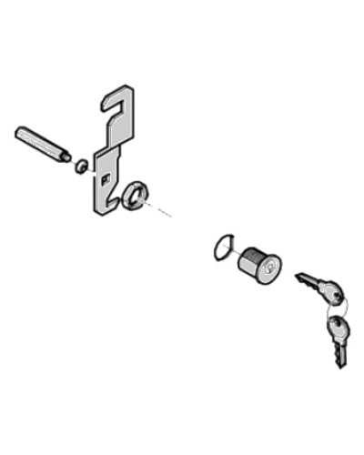 Замок дверцы G4040 G4041 Came 119RIG176 в Чебоксарах Запчасти для шлагбаумов и автоматики Pintop.ru