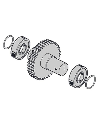 Моторедуктор G2081 G2081I Came 119RIG197 в Чебоксарах Запчасти для шлагбаумов и автоматики Pintop.ru