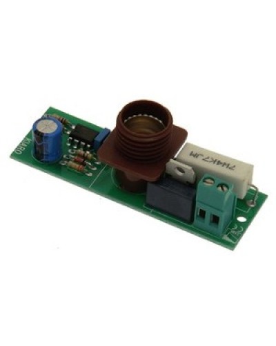 Плата лампы KIARO 24 Came 119RIR030 в Чебоксарах Запчасти для шлагбаумов и автоматики Pintop.ru