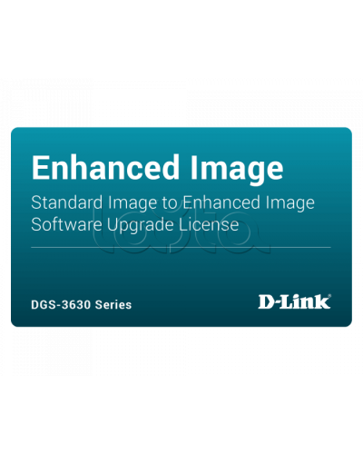 ПО D-Link DGS-3630-28PC-SE-LIC в Чебоксарах Беспроводное оборудование Pintop.ru