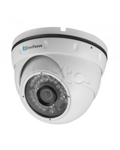 IP-камера видеонаблюдения купольная EverFocus ACE-IAV30 в Чебоксарах IP-камеры Pintop.ru