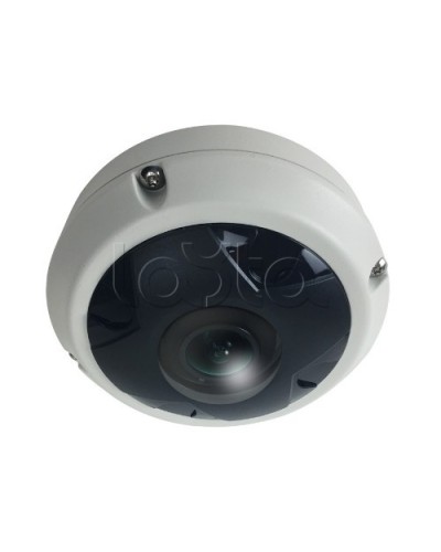 IP-камера видеонаблюдения купольная EverFocus ACE-KU89F в Чебоксарах IP-камеры Pintop.ru