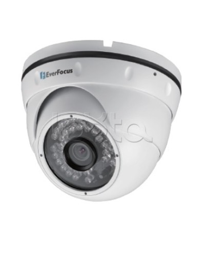 IP-камера видеонаблюдения уличная купольная EverFocus EBN-268 в Чебоксарах IP-камеры Pintop.ru