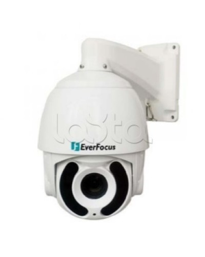 Камера видеонаблюдения поворотная купольная EverFocus EPA-6220 в Чебоксарах Аналоговые камеры Pintop.ru