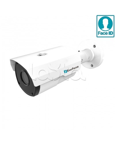 IP-камера видеонаблюдения в стандартном исполнении EverFocus EZN-2850 в Чебоксарах IP-камеры Pintop.ru