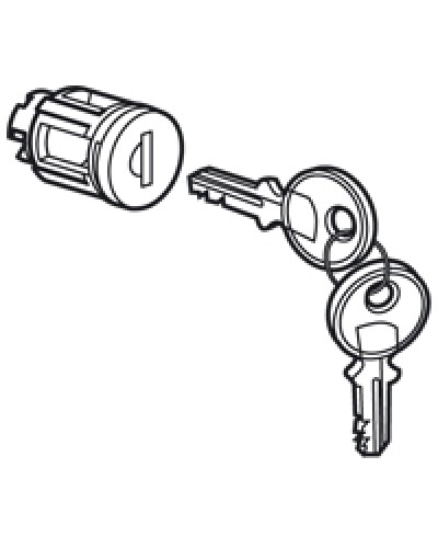 Цилиндр встроенный под ключ №405 Legrand 020291 в Чебоксарах Дополнительное оборудование для сетей Pintop.ru