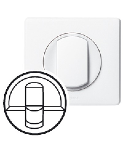 Клавиша для выключателя Celiane Legrand 068251 в Чебоксарах Аксессуары для кабель-канала Pintop.ru