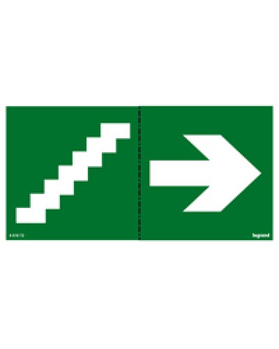 Пиктограмма 100х200 лестница стрелка Legrand 661672 в Чебоксарах Дополнительное оборудование для ОПС Pintop.ru