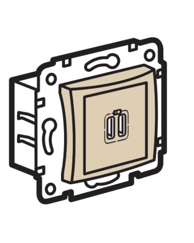 Устройство зарядное с коннекторами USB Legrand (774170) в Чебоксарах Аксессуары для кабель-канала Pintop.ru