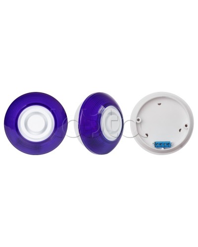 Оповещатель комбинированный SLT Марс 12-КП (строб, син) в Чебоксарах Оповещатели Pintop.ru