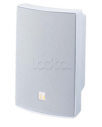 Громкоговоритель универсальный двухполосный TOA BS-1030W в Чебоксарах Системы оповещения и трансляции TOA Pintop.ru