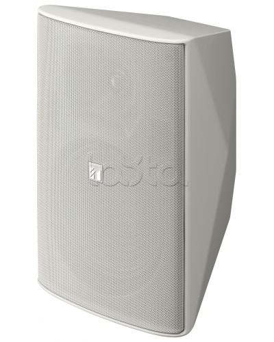 Громкоговоритель 2 полосный TOA F-2000 WT в Чебоксарах Системы оповещения и трансляции TOA Pintop.ru