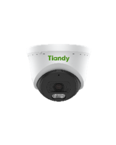Уличная купольная IP-камера Tiandy AK TC-C320N Spec:I3/E/Y/2.8mm в Чебоксарах IP-камеры Pintop.ru