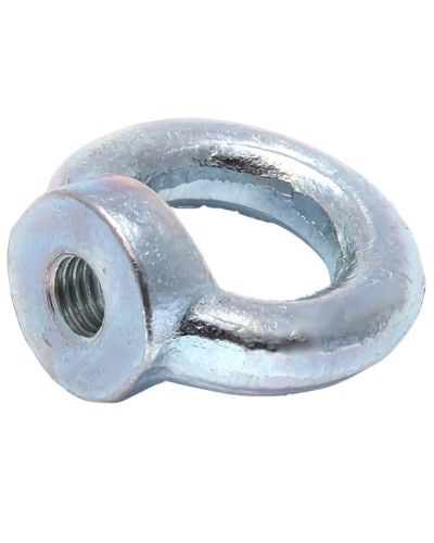 Рым-гайка М16 DIN 582 (20 шт/уп) Промрукав (PR08.3907) в Чебоксарах Крепеж Pintop.ru